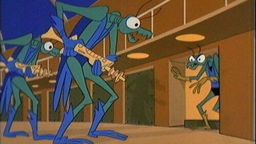 Zorak Zorak