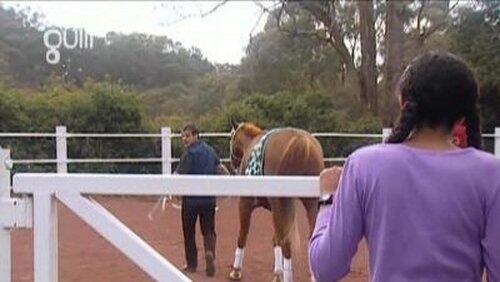 High Stakes (2) High Stakes (2)