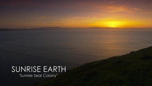 Sunrise Seal Colony Sunrise Seal Colony