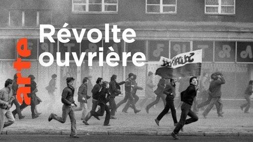 Le temps de la destruction (de 1936 à nos jours)