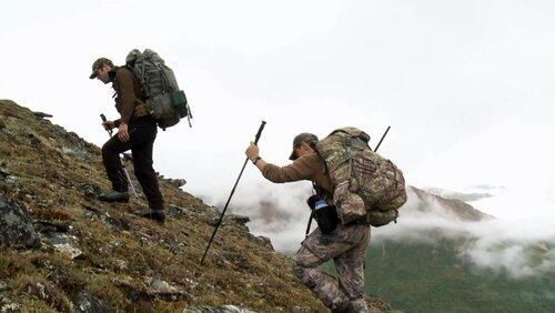 The Greatest Draw: Alaska Dall Sheep (1) The Greatest Draw: Alaska Dall Sheep (1)