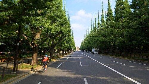 A Deeper Side to Tokyo A Deeper Side to Tokyo