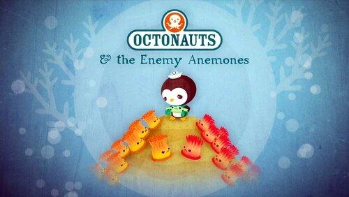 The Enemy Anemones The Enemy Anemones