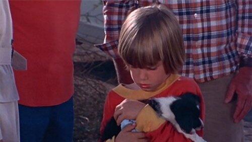 Little Boy Lost Little Boy Lost