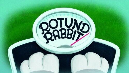 Rotund Rabbit Rotund Rabbit