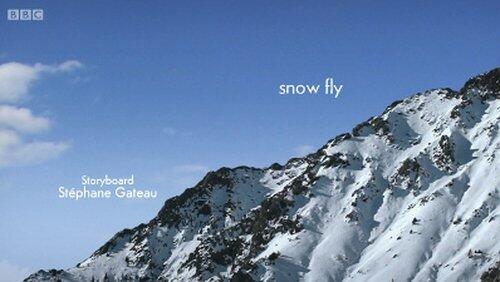 snow fly snow fly