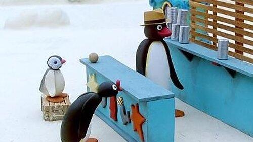 Pingu Loses the Bet