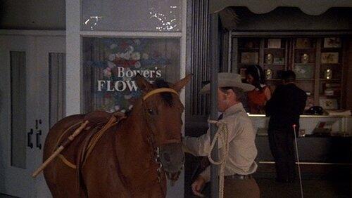 Manhattan Manhunt (1) (or Horse Stealing on Fifth Avenue) Manhattan Manhunt (1) (or Horse Stealing on Fifth Avenue)