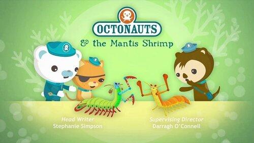 The Mantis Shrimp The Mantis Shrimp