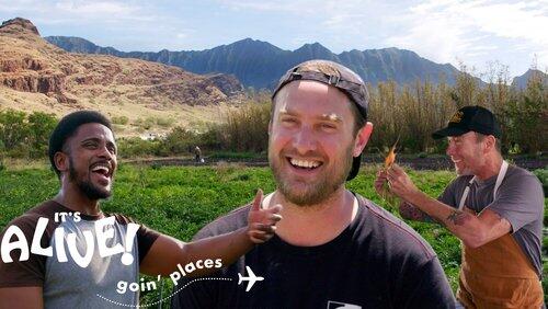 Brad Goes Farming in Hawaii Brad Goes Farming in Hawaii