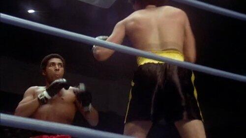 TKO TKO