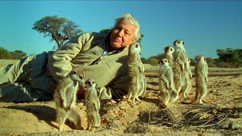 Attenborough's Life Stories: Part Two - Understanding the Natural World Attenborough's Life Stories: Part Two - Understanding the Natural World