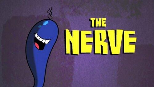 The Nerve The Nerve