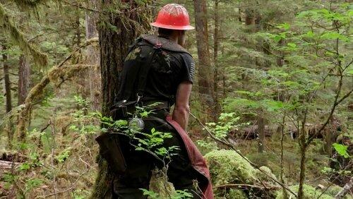 Lumber Lumber