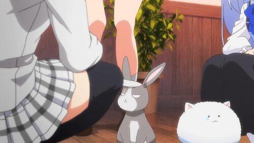 2nd Bunny: Grey Rabbit and Cinderella 2nd Bunny: Grey Rabbit and Cinderella