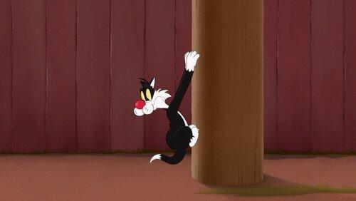 Telephone Pole Gags 2: Shrinking Telephone Pole Telephone Pole Gags 2: Shrinking Telephone Pole