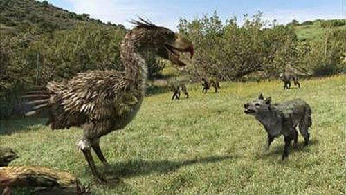 Terror Bird Terror Bird