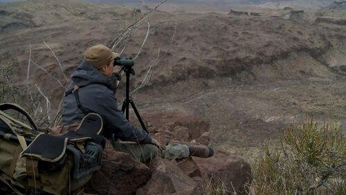 The Roughest Country: Texas Aoudad Sheep The Roughest Country: Texas Aoudad Sheep