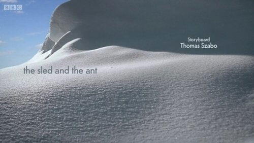 the sled and the ant the sled and the ant