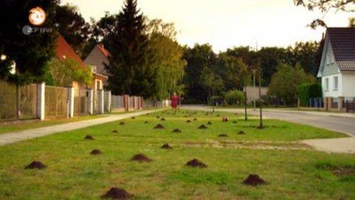Maulwurf - Der unsichtbare Untermieter Maulwurf - Der unsichtbare Untermieter
