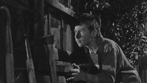 The Fugitive The Fugitive