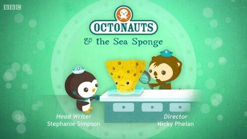 The Sea Sponge The Sea Sponge