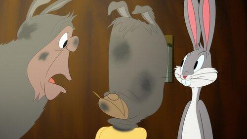 Hide Out Hare Hide Out Hare