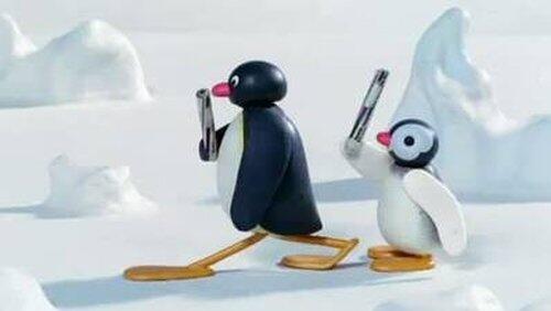 Pingu Plays Tag Pingu Plays Tag