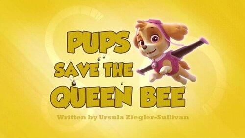 Pups Save the Queen Bee Pups Save the Queen Bee