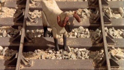 Baa! Baa!