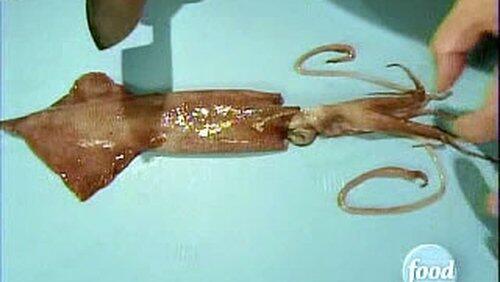 Squid Pro Quo 2 Squid Pro Quo 2