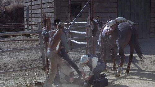 The Horse Fighter The Horse Fighter