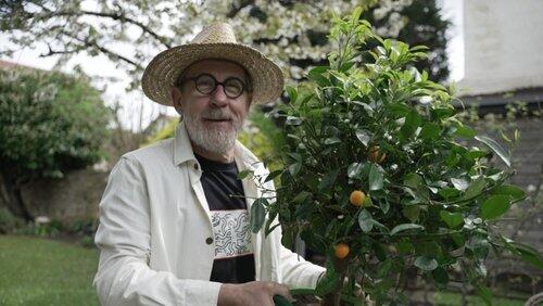 Le jardin : un art à la française ! Le jardin : un art à la française !