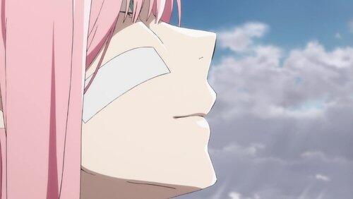 DARLING in the FRANXX DARLING in the FRANXX