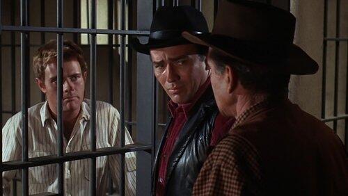 Requiem for a Country Doctor Requiem for a Country Doctor