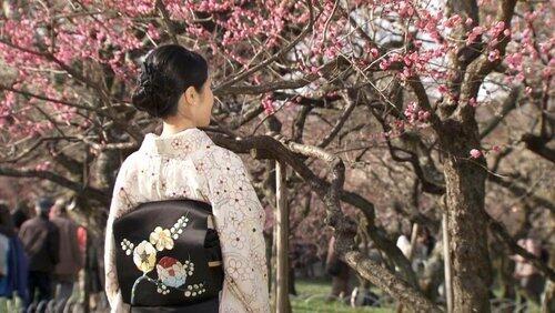 The World of Kimono: Kyoto's Timeless Sense of Beauty The World of Kimono: Kyoto's Timeless Sense of Beauty