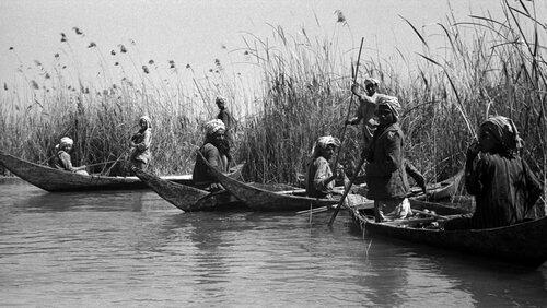 Braving Iraq Braving Iraq
