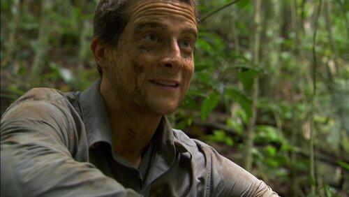 Jungle (2) Jungle (2)