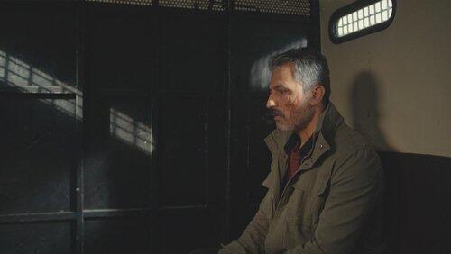Episode 17 Episode 17