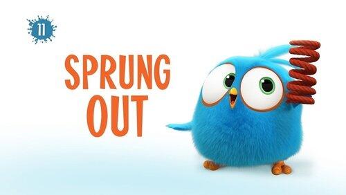 Sprung Out Sprung Out