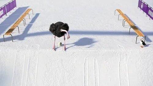 Skicross Skicross