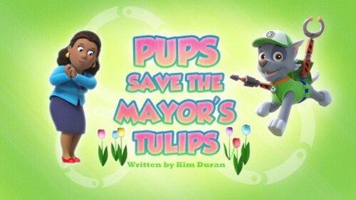 Pups Save a Space Toy Pups Save a Space Toy