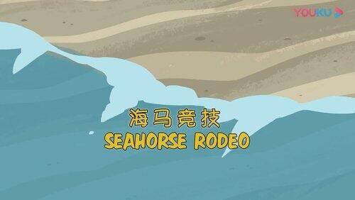 Seahorse Rodeo Seahorse Rodeo