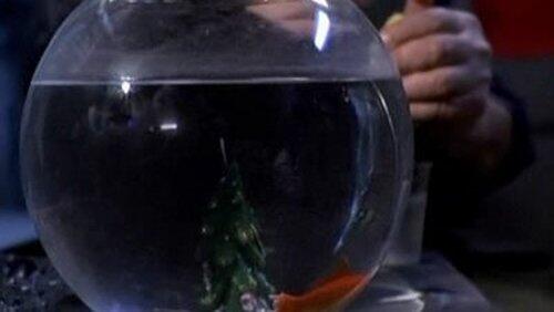 Buon Natale Buon Natale