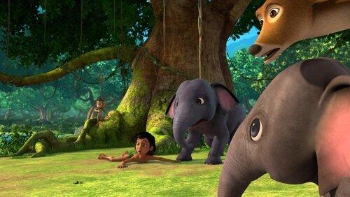 Jungle Day-Care Jungle Day-Care
