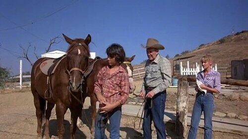 For Want of a Horse For Want of a Horse