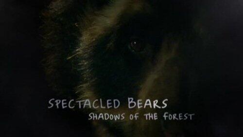 Spectacled Bears - Shadows of the Forest Spectacled Bears - Shadows of the Forest