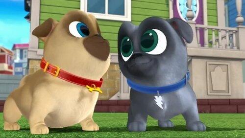 I Heart Rufus I Heart Rufus