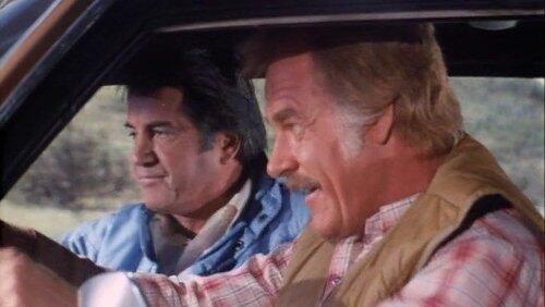 When You Wish Upon a Hogg When You Wish Upon a Hogg