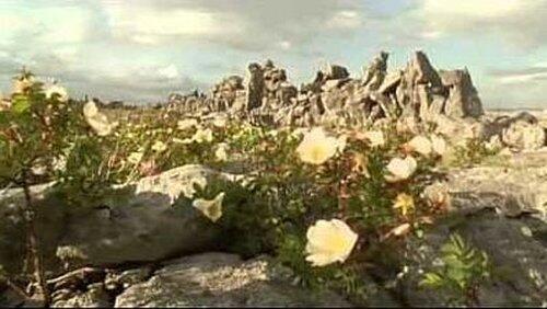 Ireland: Sculpted Isle Ireland: Sculpted Isle